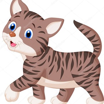 Cute Cat