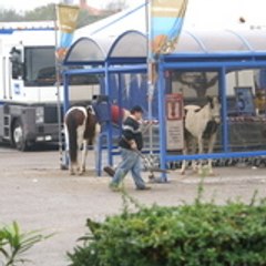 Comité d'Etablissement de Carrefour Saint Clémen
