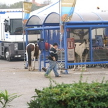 Comité d'Etablissement de Carrefour Saint Clémen