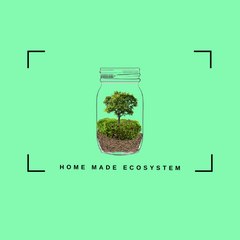 Homemade Ecosystems