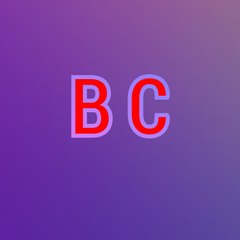 Bison Channel