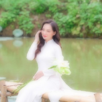 hoa sen trắng