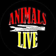 عالم الحيوان