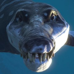 CANAL GABELLO ENTERTAINMENT