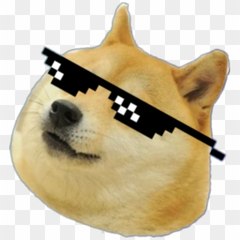 AWW CHANNEL