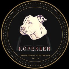 kopekler Trainer