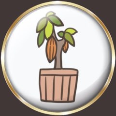 cacao