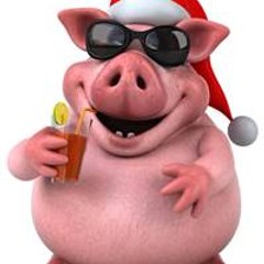 fendleydarren43