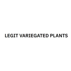Legit Variegated Plants