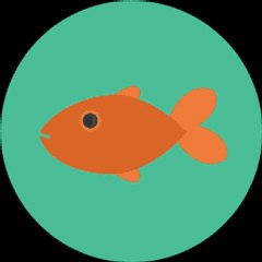 jonathancohen51