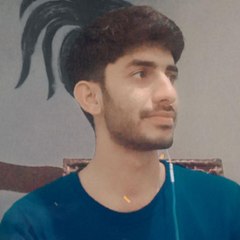 Haseeb Bali