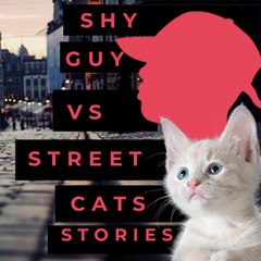 Shy Guy VS Street Cats Stories