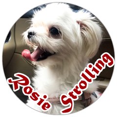 Rosie Strolling