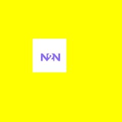 N2N Academy