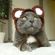 cahitalniacik82282comam