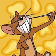 JerryTheToon