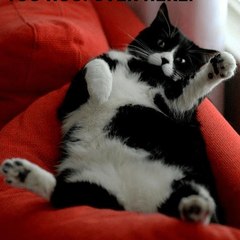 Hoo_yoo over here
