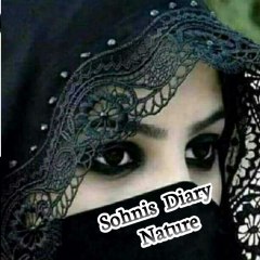 Sohnis Diary Nature