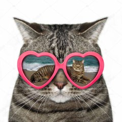 almacioglumeralcomtr