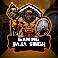 rajasinghgamer