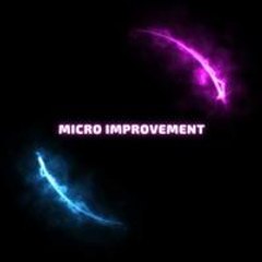 Micro Improvement