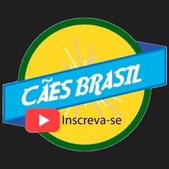 Cães Brasil