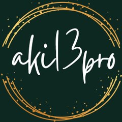 Aki13promy