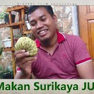 Kebun Buah LANGKA | Tropical Fruits