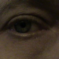 ***** VLADIMIR ***** " Ou un oeil sur le monde