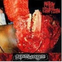 Abortus Deradelphus