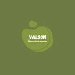 VALSON