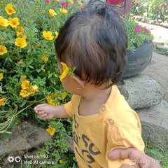 PEMULA
