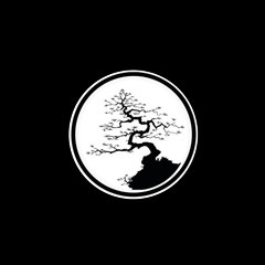 Sama Bonsai - Bonsai Diary