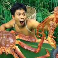 Survival in the wild