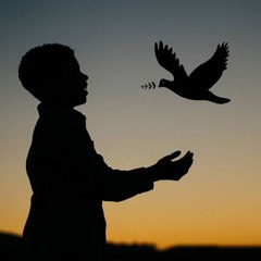 raffaDheChannel