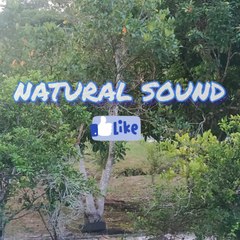 NATURAL SOUND