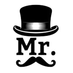 Mr Fun Max pro