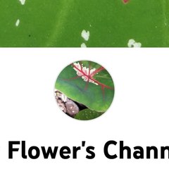 Putrhy Flower's Channel . ☘
