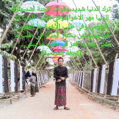 Ipok collection