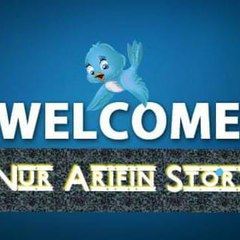 Nur Arifin Story