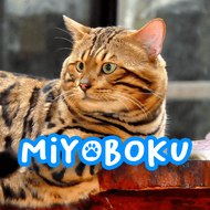 Miyoboku