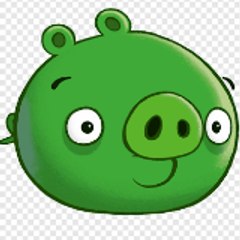 Mrx El Piggon Espía