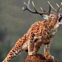 Wildlife and entertainment