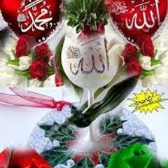Hamza Ali