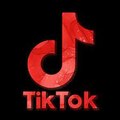Tiktoks virales y de todo tipo