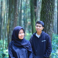 Dimas Irdat