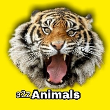 a2z animals