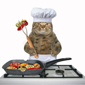 Chef Cat ChangAn