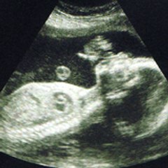 futurmaman