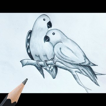 Pk drawing academy